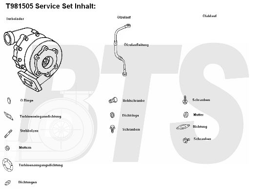 BTS TURBO Компрессор, наддув T981505